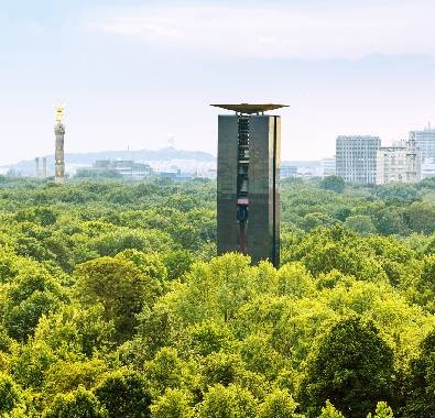 Harmony of Architecture and Nature