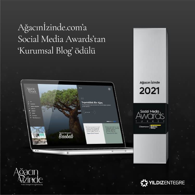 Ağacınİzinde.com'a Ödül!