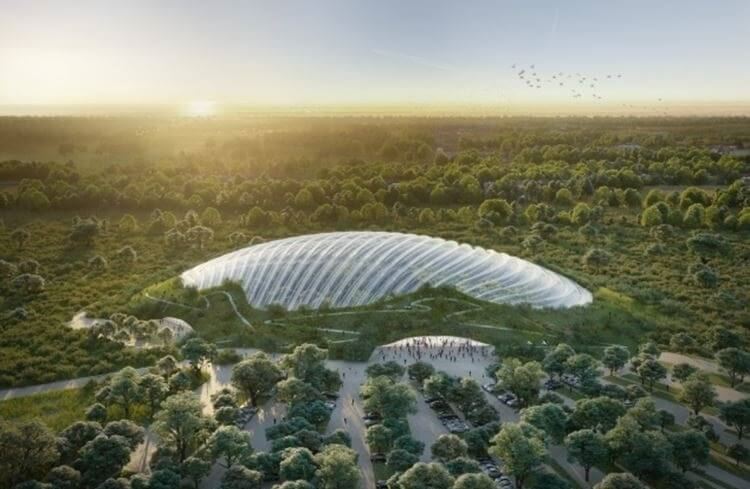 Greenhouse Tropicalia