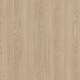 Sahara Oak